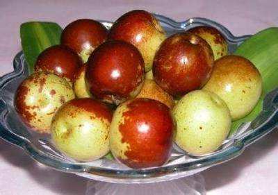 冬棗上市，農(nóng)藥殘留你可知?