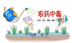 農(nóng)藥殘留速測(cè)儀助力“有機(jī)農(nóng)業(yè)”發(fā)展！