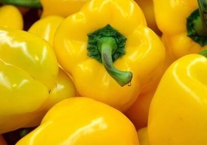 農(nóng)藥殘留檢測儀