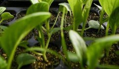 食品安全速測儀操作簡單，可降低學(xué)習(xí)成本