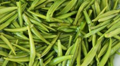 茶葉農(nóng)殘檢測(cè)與果蔬農(nóng)殘檢測(cè)有何區(qū)別？